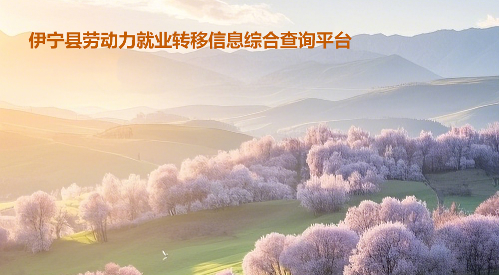新疆伊寧縣就業(yè)查詢系統(tǒng)